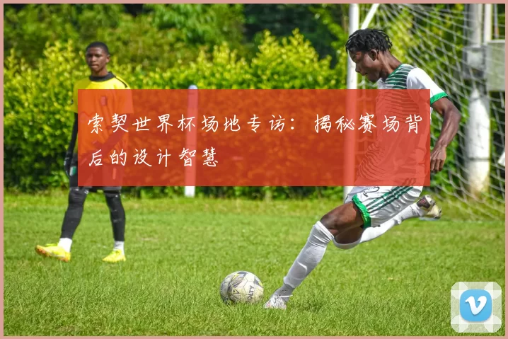 索契世界杯场地专访:揭秘赛场背后的设计智慧