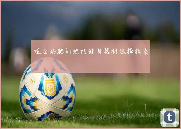 适合减肥训练的健身器材选择指南