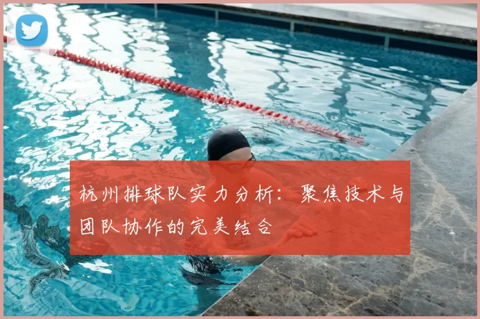 杭州排球队实力分析：聚焦技术与团队协作的完美结合