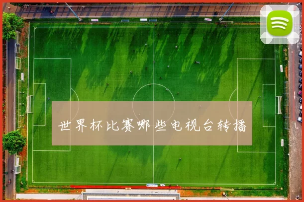 世界杯比赛哪些电视台转播