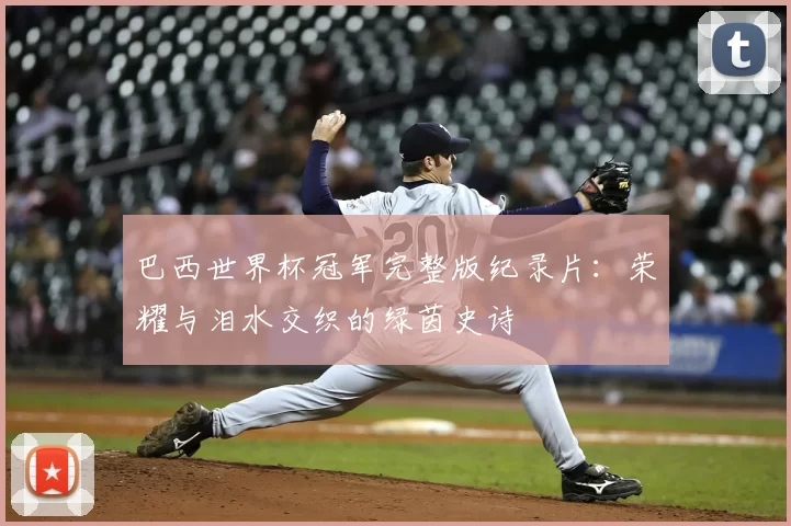 巴西世界杯冠军完整版纪录片：荣耀与泪水交织的绿茵史诗