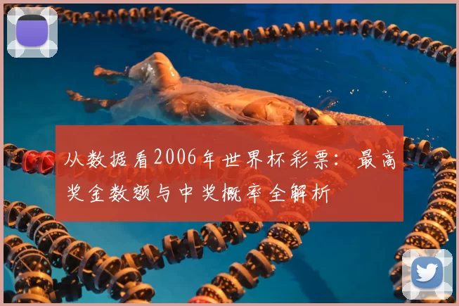 从数据看2006年世界杯彩票：最高奖金数额与中奖概率全解析