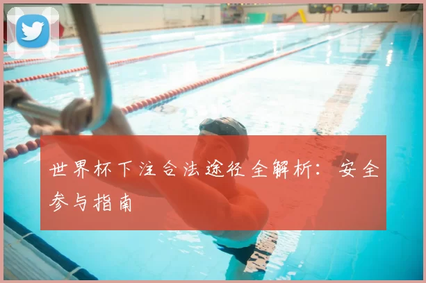 世界杯下注合法途径全解析：安全参与指南