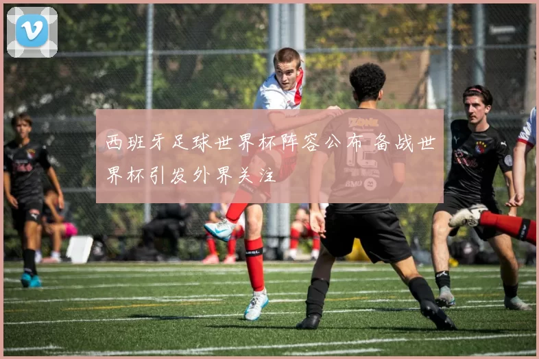西班牙足球世界杯阵容公布 备战世界杯引发外界关注