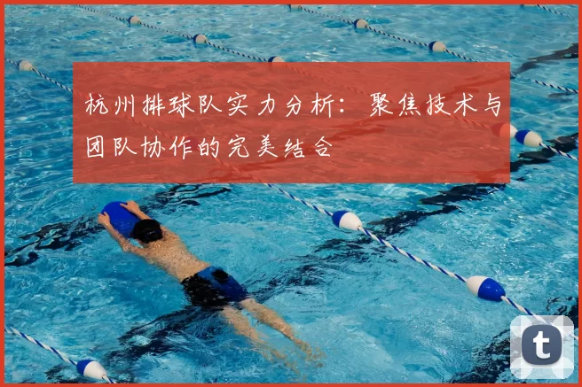 杭州排球队实力分析：聚焦技术与团队协作的完美结合