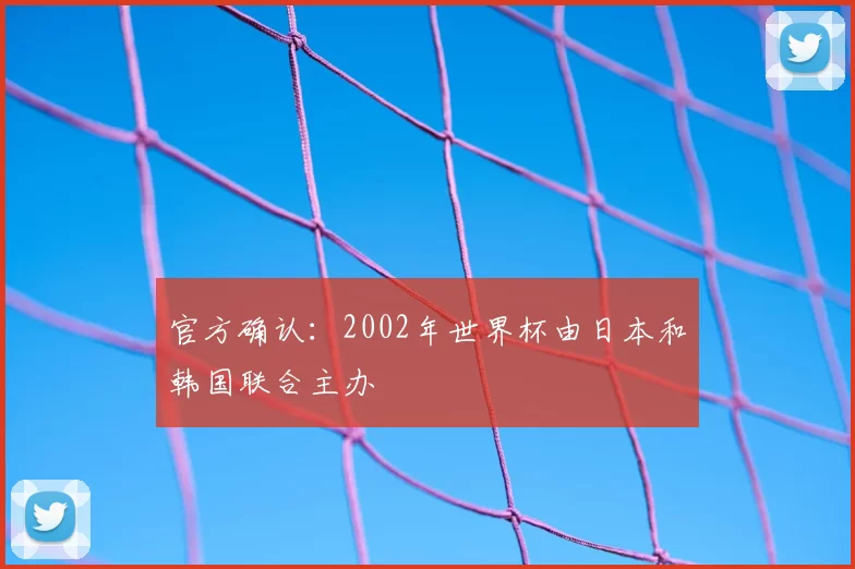 官方确认：2002年世界杯由日本和韩国联合主办