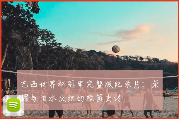 巴西世界杯冠军完整版纪录片:荣耀与泪水交织的绿茵史诗
